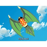 Image of Flying Beat