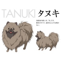 Image of Tanuki