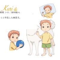 Image of Kuri