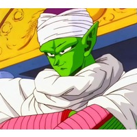 Quotes from Piccolo