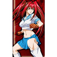 Ikkitousen: Xross Impact, Ikkitousen Wiki