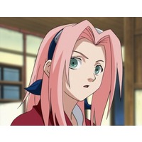 Profile Picture for Sakura Haruno
