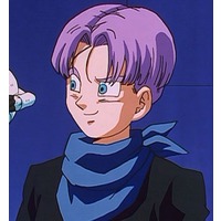 Image of Trunks