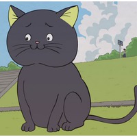 Image of Black Cat