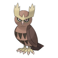 Image of Noctowl
