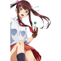 Asaemon Yamada, Ikkitousen Wiki