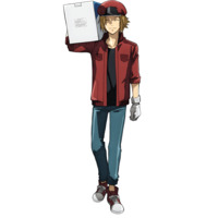 Profile Picture for Red Blood Cell (AC1677)