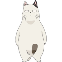Image of Kotatsu Cat