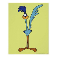 Profile Picture for Road Runner
