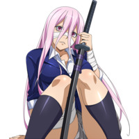 Chuubou Sonken (true), Ikkitousen Wiki