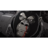 Profile Picture for Armored Gorilla