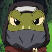 Image of Frog Ninja