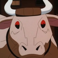Image of Jumbo Cow