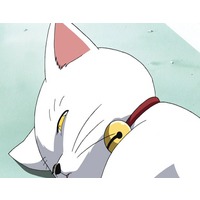 Image of Hiroko (cat form)